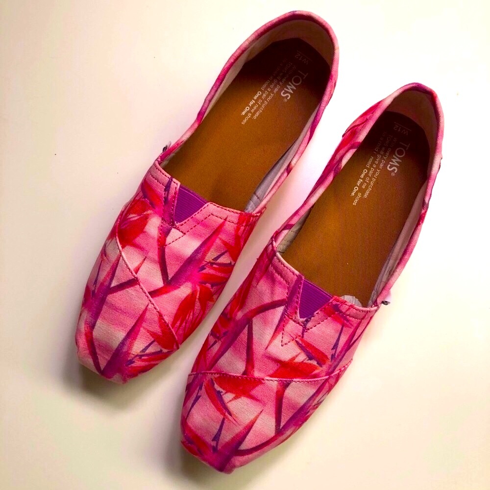 EUC Toms shoes